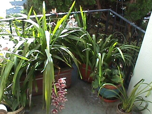 Patio Off Bedroom